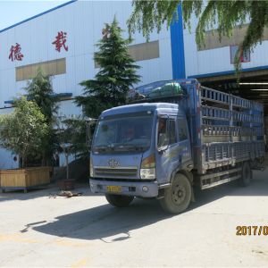 2017010123 ����� �ք�(d��ng)�������ؙC(j��)SLD2-8 2017-4-18